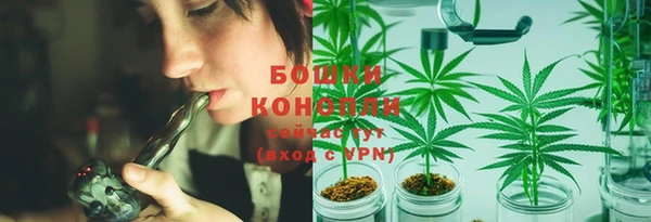 jwh Пересвет