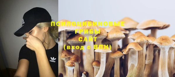 ешки Абдулино