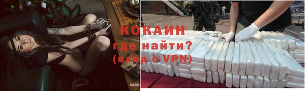 jwh Пересвет