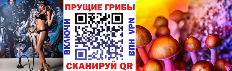 Псилоцибиновые грибы GOLDEN TEACHER  дарнет шоп  Подпорожье 
